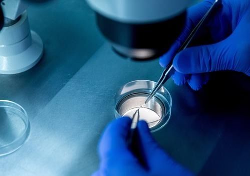 试管胚胎可以知道男女吗,如何提前知道宝宝的性别？