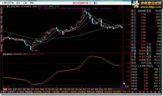 股票指标公式如何在智能辅助线上加一组数据显示出来