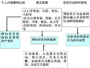 中班健康活动的理论意义