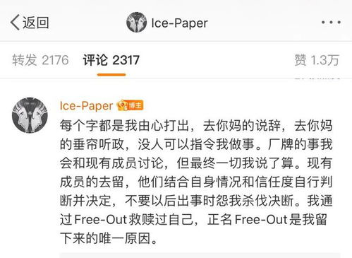  icepaper怎么读,Icepaper是什么? 百科