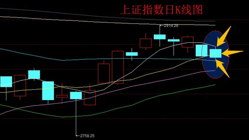 想学学炒股，就是不知道怎么看K线图的，有好几根线，要怎么究竟的？请问高手一下！