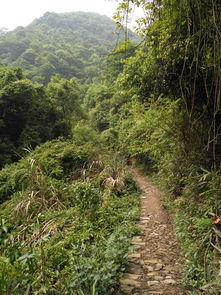 古越寻踪 十里涵溪 虹岭古道环线游走