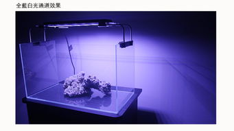 LPS珊瑚灯ZETLIGHT积光海水鱼缸专用LED灯水族灯具28W ZA2431包邮 