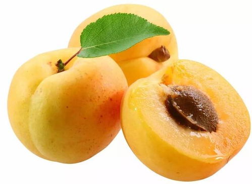 杏子怎么吃好吃 推荐7种杏子的常见吃法 