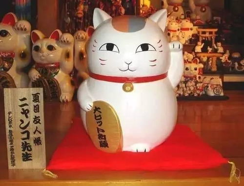 日本有招财猫,却有中国人因 猫来穷 这句话当场弃猫
