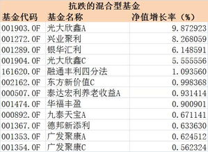 偏股型基金