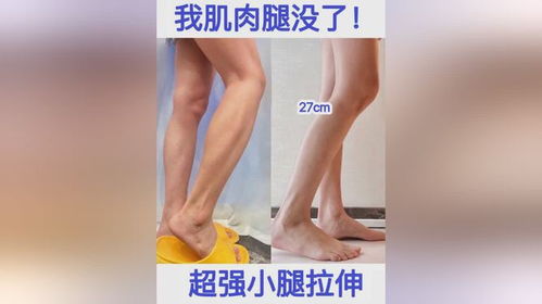 肌肉腿没了改善脂包肌 水肿腿 巨简单拉伸