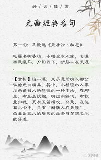 表遗憾的名言,苏格拉底遗憾名言？