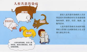 中华人民共和国动物防疫法法律宣传 