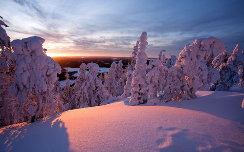 芬兰极夜雪景 搜狗图片搜索