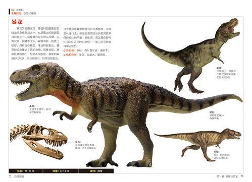 恐龙图鉴 154种恐龙的特征与习性 