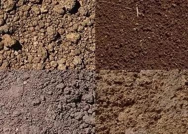 导致土壤透气性变差和有机质含量低的原因有哪些应该如何应对(土壤增加透气性)