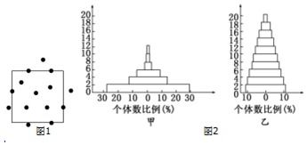 它们两者存在哪些差异—生物差异性指的是什么