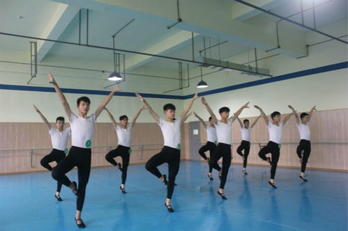 舞蹈培训学校排行榜,哪个学校舞蹈专业比较好？