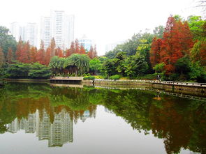 天河公园,广州天河公园相亲角在哪个位置