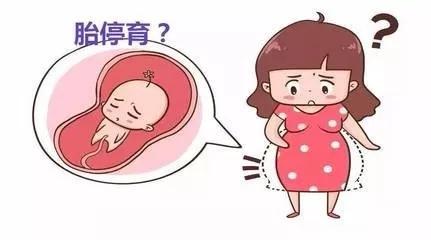 原创孕期26周发现胎停被迫引产，原因是这个“冰箱杀手”，孕妈要警惕
