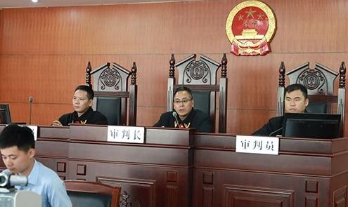 什么是量刑畸轻？什么是量刑畸重？