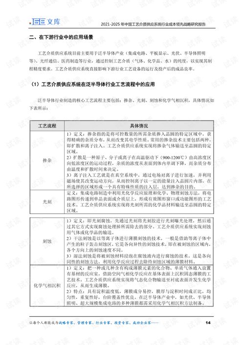 2021 2025年中国工艺介质供应系统行业成本领先战略研究报告.pdf