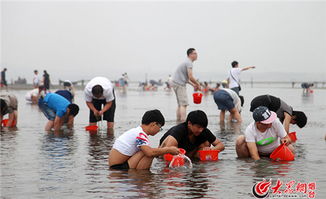 今年海钓去哪儿 宛如同童话世界的天鹅湖