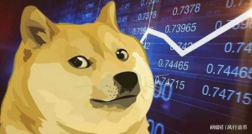  doge狗狗币交易平台,为什么选择doge狗币平台? USDT行情