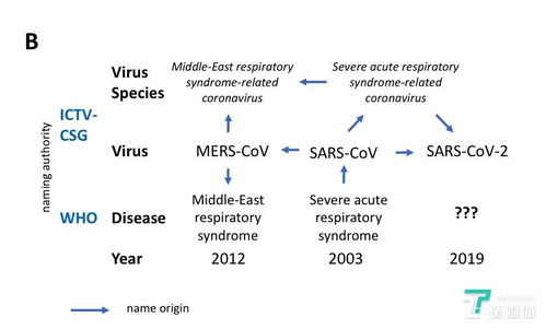 新冠病毒在国际上被正式命名SARS CoV 2,命名乱象终止