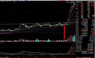 我在晚上12点0分44秒就挂了一个涨停价,为什么第二天我没有买到?