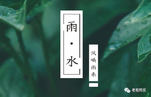 雨水时节,养生重在 捂 ,穿衣4字诀,要收好