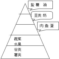 食物金字塔的结构图,探索食物金字塔的结构