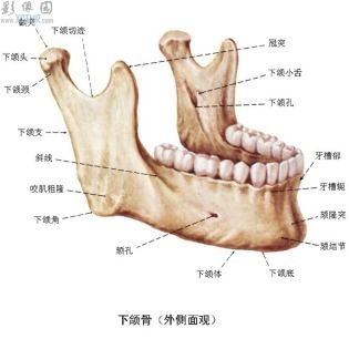 下颌角磨骨和削骨的区别是什么