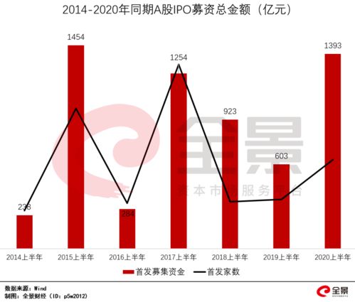 今年A股市场第一大IPO项目？是什么意思