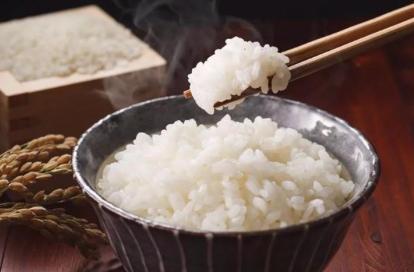 米饭当主食和面食当主食,对人有什么不同影响 哪个相对有益