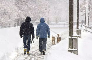 整个北方都在下雪,通辽却爽约了 未来5天通辽天气是这样的... 