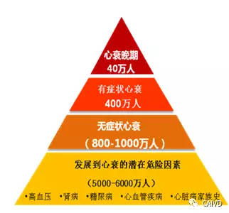 N末端脑钠肽前体 NT proBNP 的临床检测意义及应用