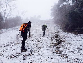 温州昨发布道路结冰黄色预警 雨雪或持续至周末 