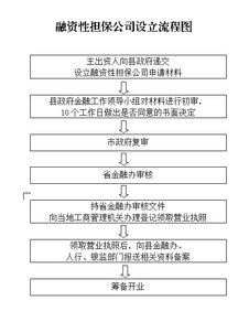 担保公司设立