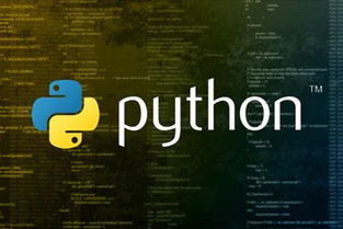 小孩子学python,小学生就学编程，就学Python，真的那么重要吗