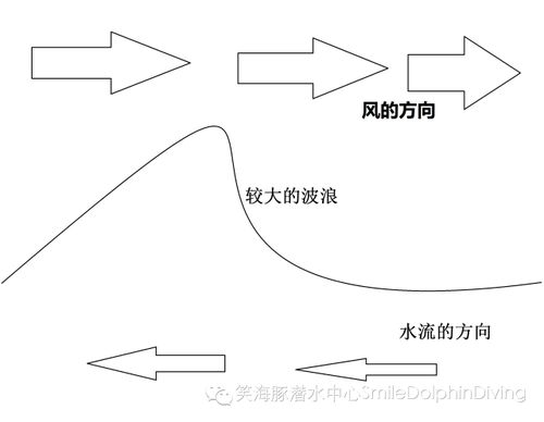 潜水遭遇大流的生存宝典 超详细图解水流