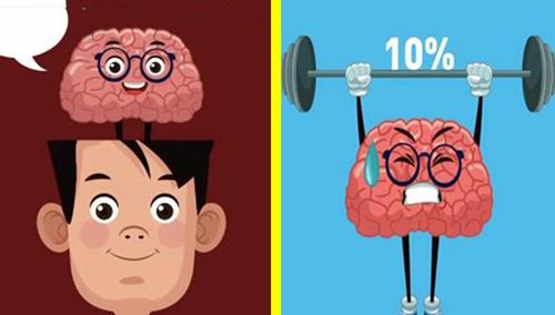 你不太可能在学校生物课本上学到的,与人体有关的10个冷知识