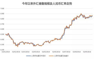 中国外汇交易中心：掌握全球货币交易的脉搏