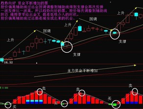 第一天强势涨停的股票可以买的到吗？假如买的到，用什么方法？