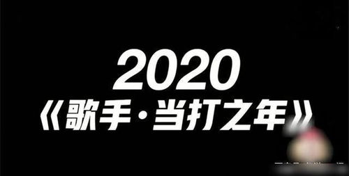 今年 歌手 被命名为 当打之年