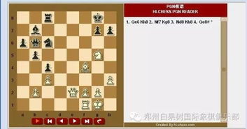 盲点 有趣的国际象棋心理测试 