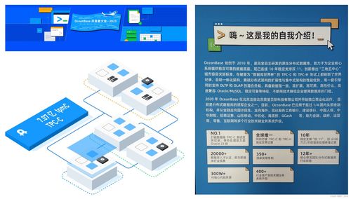 oceanbase基于什么開發(fā)的 知乎