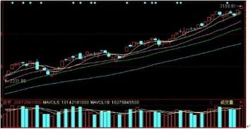 股票日K线图中有蓝色、红色、白色三条线，分别都代表什么？