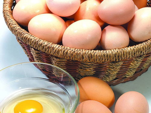 先吃蛋白还是先吃蛋黄,宝宝6个月后可以吃鸡蛋了吗 