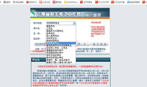 2020年云南省特岗教师招聘考试网上报名流程