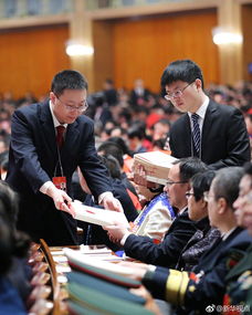 选举国家领导人现场照片 发放选票 