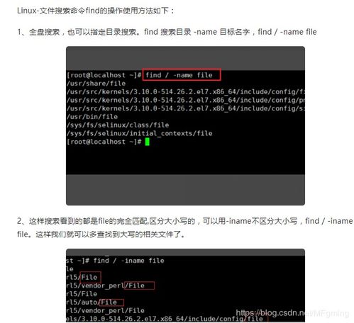 linux全局搜索文件名命令(linux全局搜索文件夹名称)