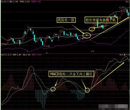 通达信编辑蛟龙出海选股源代码是什么？开盘价不一定要在三根均线之下的。谢谢