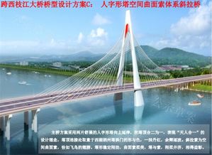 投票 惠州1号公路两座跨江大桥名字和桥型怎么定 你来选